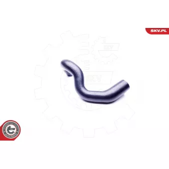 Gaine de suralimentation ESEN SKV 43SKV082