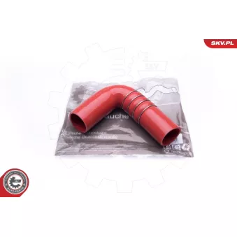 Gaine de suralimentation ESEN SKV 43SKV090