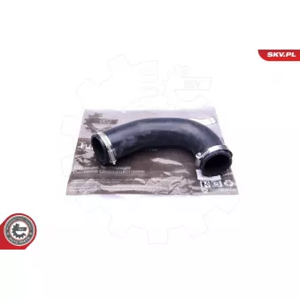 Gaine de suralimentation ESEN SKV 43SKV113