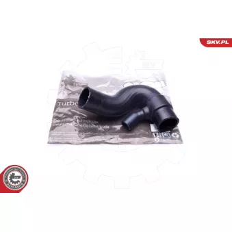 Gaine de suralimentation ESEN SKV 43SKV114