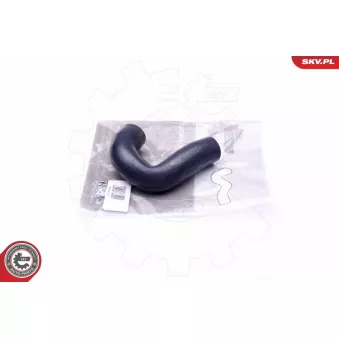 Gaine de suralimentation ESEN SKV 43SKV115