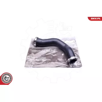 Gaine de suralimentation ESEN SKV 43SKV117