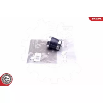 Gaine de suralimentation ESEN SKV 43SKV118