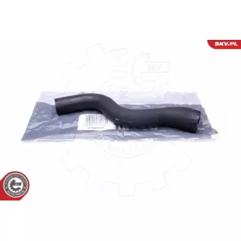 Gaine de suralimentation ESEN SKV 43SKV124