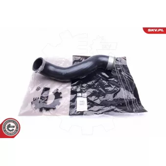 Gaine de suralimentation ESEN SKV 43SKV146