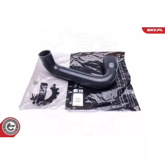 Gaine de suralimentation ESEN SKV 43SKV154