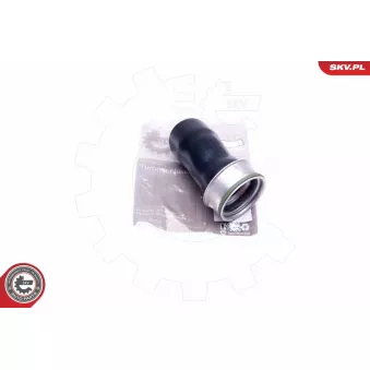 Gaine de suralimentation ESEN SKV 43SKV166