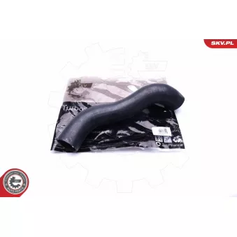 Gaine de suralimentation ESEN SKV 43SKV167