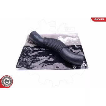 Gaine de suralimentation ESEN SKV 43SKV168