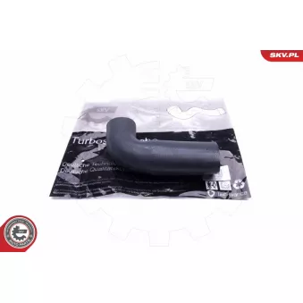 Gaine de suralimentation ESEN SKV 43SKV169