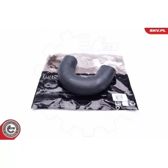 Gaine de suralimentation ESEN SKV 43SKV178