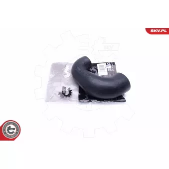 Gaine de suralimentation ESEN SKV 43SKV186