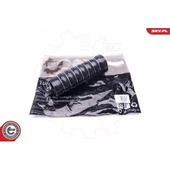 Gaine de suralimentation ESEN SKV 43SKV189