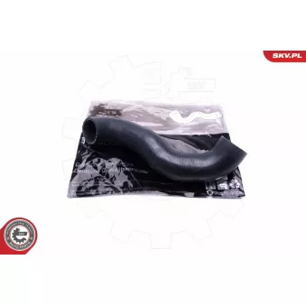 Gaine de suralimentation ESEN SKV 43SKV199