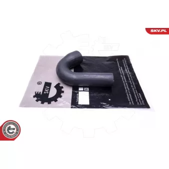 Gaine de suralimentation ESEN SKV 43SKV255