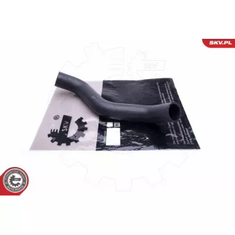 Gaine de suralimentation ESEN SKV 43SKV257