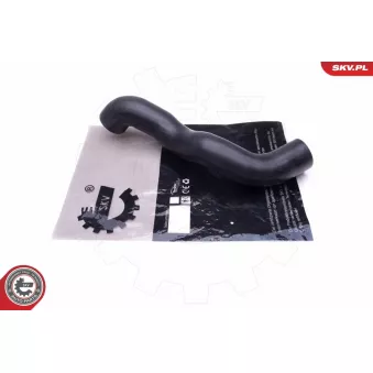 Gaine de suralimentation ESEN SKV 43SKV261