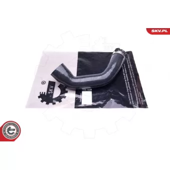 Gaine de suralimentation ESEN SKV 43SKV266