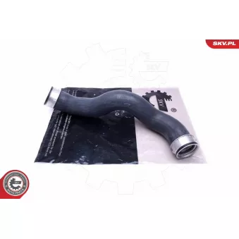 Gaine de suralimentation ESEN SKV 43SKV269