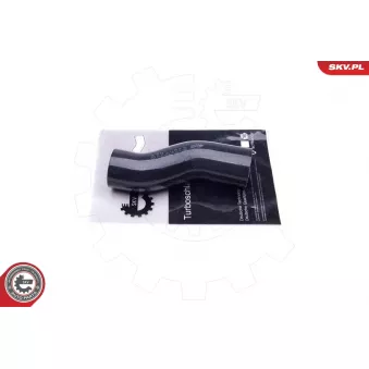 Gaine de suralimentation ESEN SKV 43SKV278