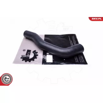 Gaine de suralimentation ESEN SKV 43SKV295