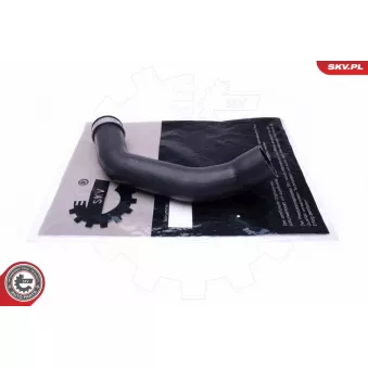 Gaine de suralimentation ESEN SKV 43SKV308