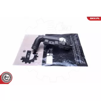 Gaine de suralimentation ESEN SKV 43SKV309