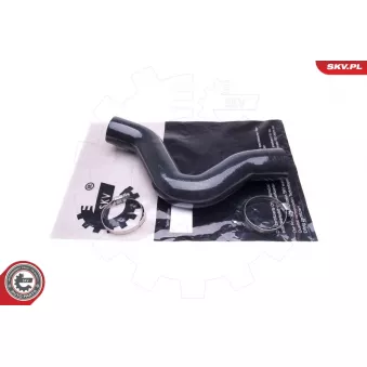 Gaine de suralimentation ESEN SKV 43SKV310