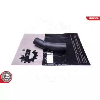 Gaine de suralimentation ESEN SKV 43SKV315