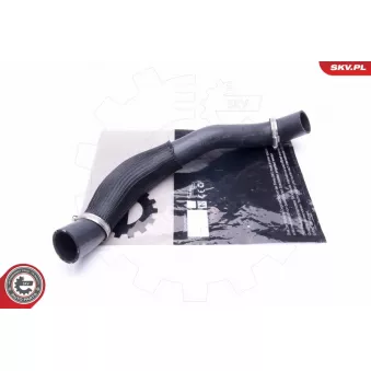 Gaine de suralimentation ESEN SKV 43SKV319