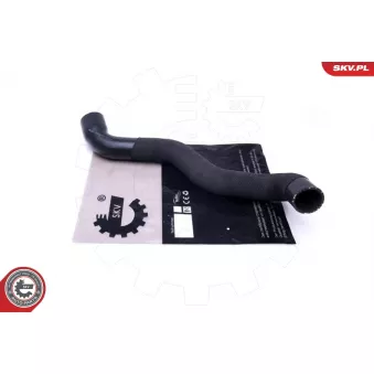 Gaine de suralimentation ESEN SKV 43SKV353