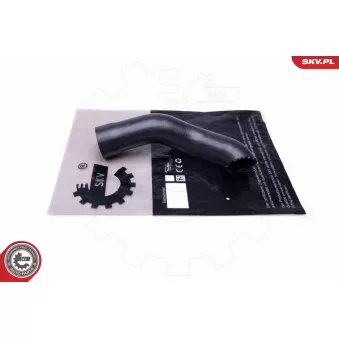 Gaine de suralimentation ESEN SKV 43SKV356