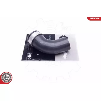 Gaine de suralimentation ESEN SKV 43SKV363