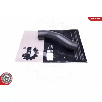 Gaine de suralimentation ESEN SKV 43SKV365