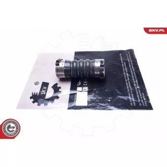 Gaine de suralimentation ESEN SKV 43SKV370