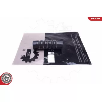 Gaine de suralimentation ESEN SKV 43SKV372