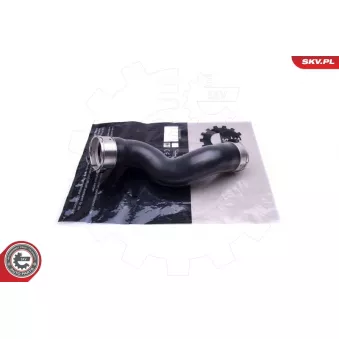 Gaine de suralimentation ESEN SKV 43SKV379