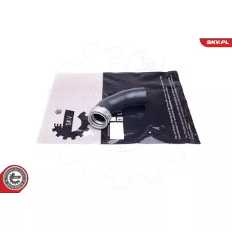 Gaine de suralimentation ESEN SKV 43SKV386