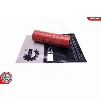 Gaine de suralimentation ESEN SKV 43SKV391