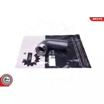 Gaine de suralimentation ESEN SKV 43SKV415