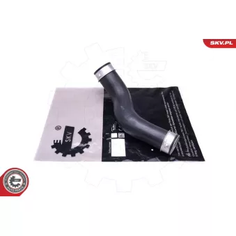 Gaine de suralimentation ESEN SKV 43SKV419