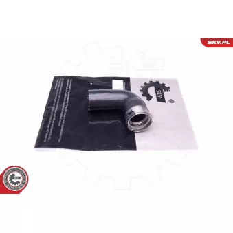 Gaine de suralimentation ESEN SKV