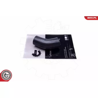 Gaine de suralimentation ESEN SKV 43SKV444