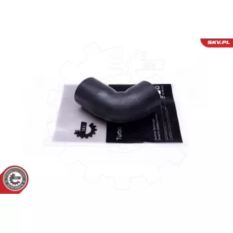 Gaine de suralimentation ESEN SKV 43SKV446