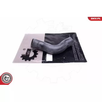 Gaine de suralimentation ESEN SKV