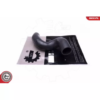 Gaine de suralimentation ESEN SKV 43SKV450