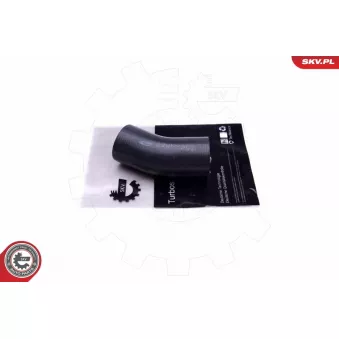 Gaine de suralimentation ESEN SKV 43SKV451