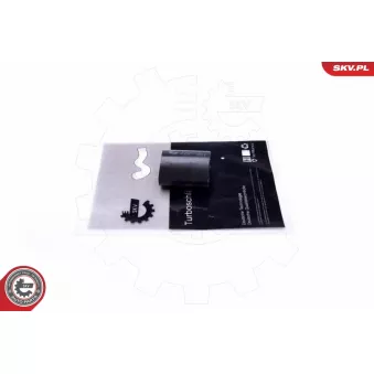 Gaine de suralimentation ESEN SKV 43SKV452