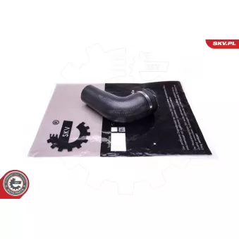 Gaine de suralimentation ESEN SKV 43SKV458