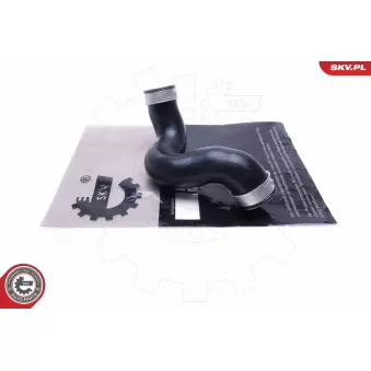 Gaine de suralimentation ESEN SKV 43SKV460